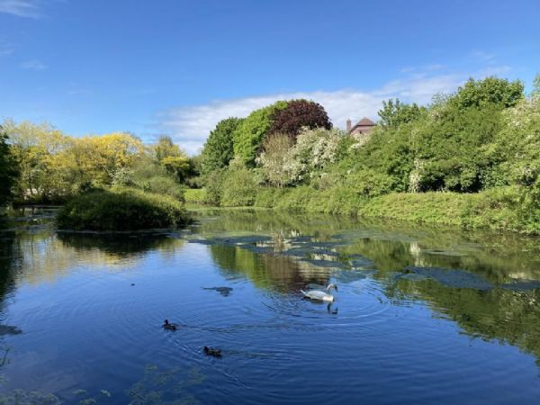 Kiltonga Nature Reserve by Leah Kerr